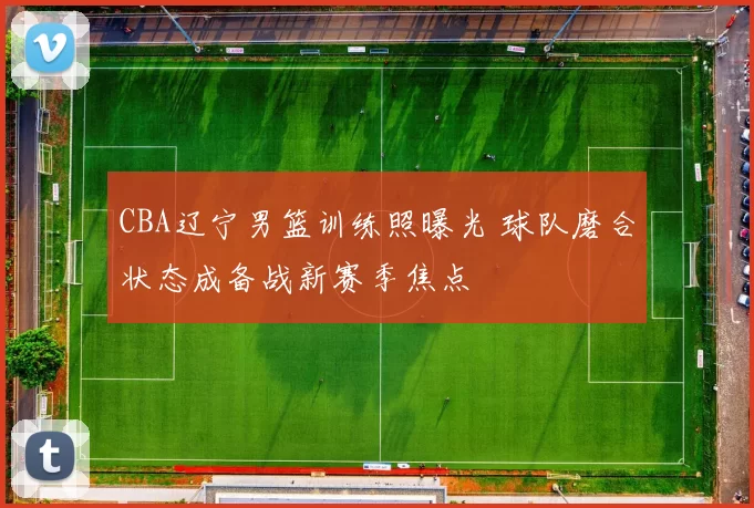 CBA辽宁男篮训练照曝光 球队磨合状态成备战新赛季焦点