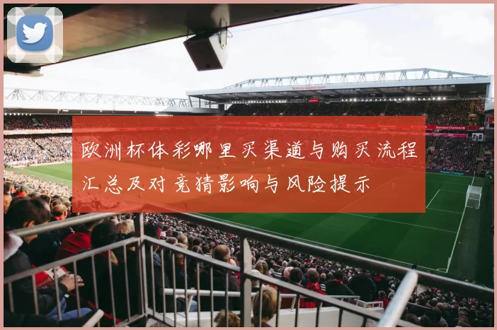 欧洲杯体彩哪里买渠道与购买流程汇总及对竞猜影响与风险提示