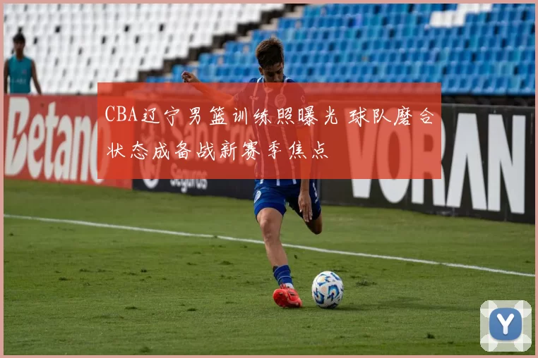 CBA辽宁男篮训练照曝光 球队磨合状态成备战新赛季焦点