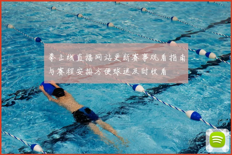 拳击线直播网站更新赛事观看指南与赛程安排方便球迷及时收看