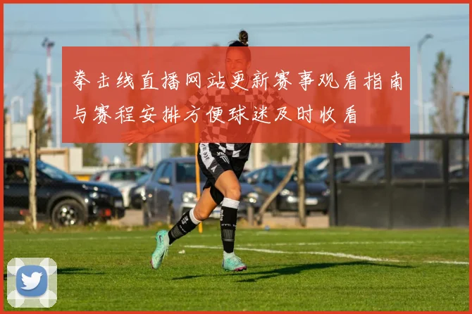 拳击线直播网站更新赛事观看指南与赛程安排方便球迷及时收看
