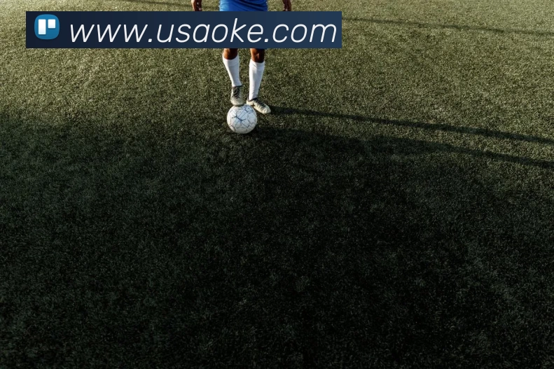 星空入口网页版官方版发展历程